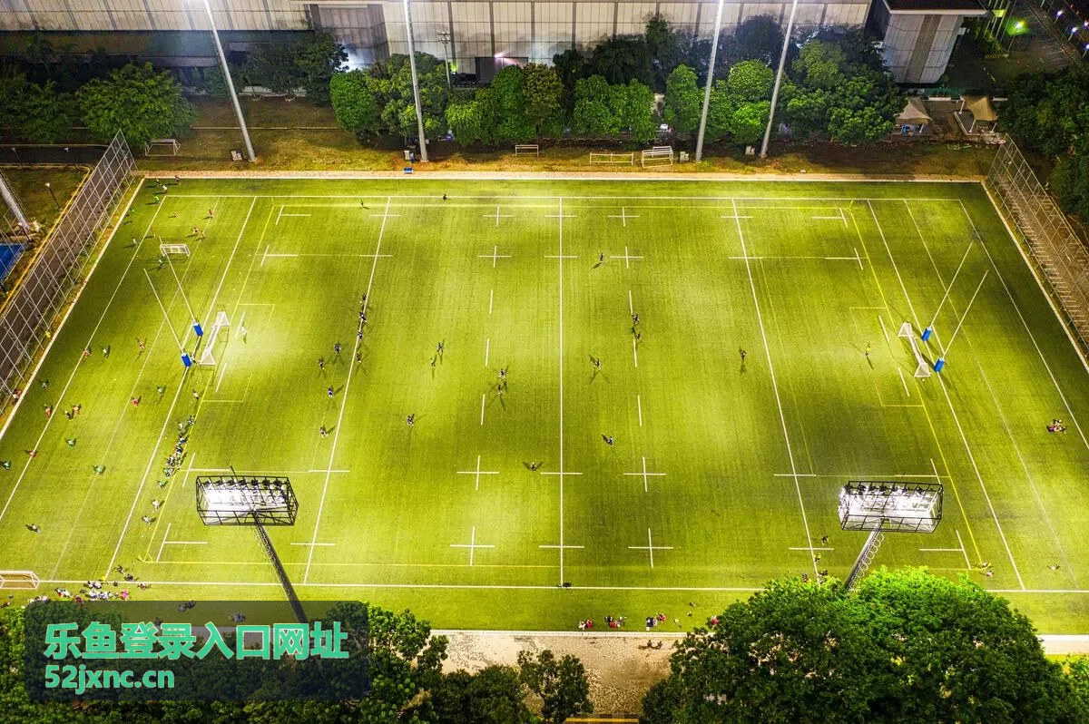 乐鱼账号登录与安全验证流程说明图