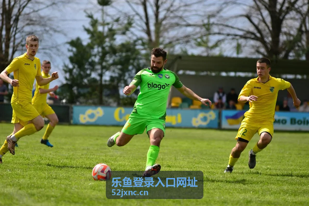 乐鱼登录入口网址问题解答场景示意